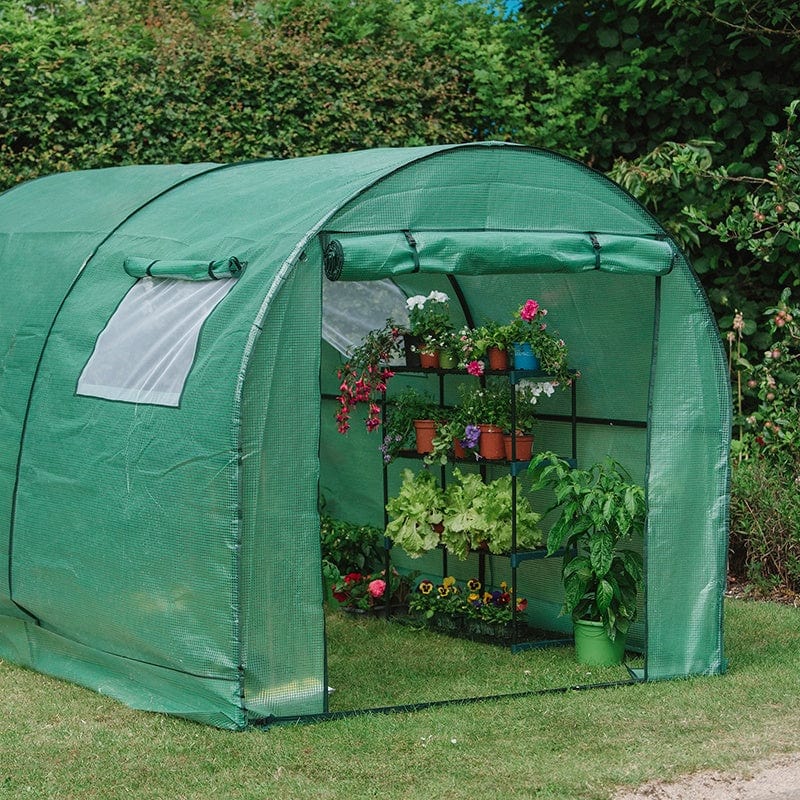 Polytunnel