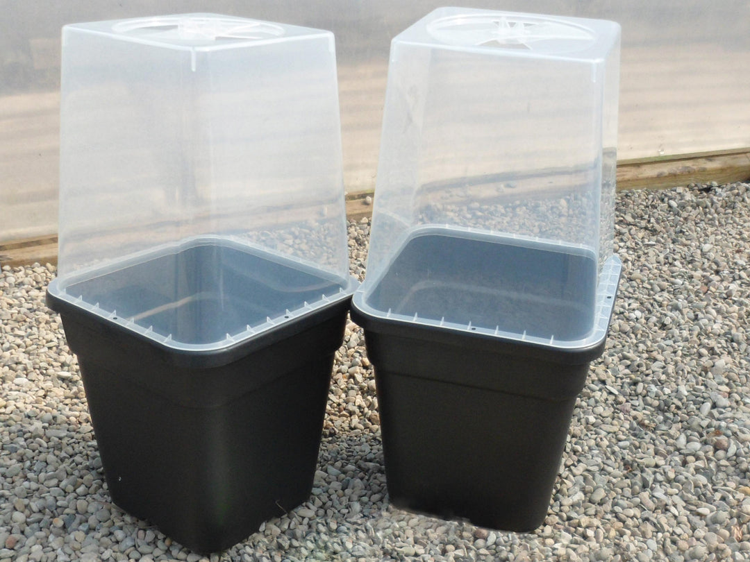 Quadgrow Watering System Clear Propagation Lids