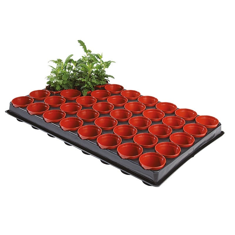 Seed and Cutting Propagation Tray