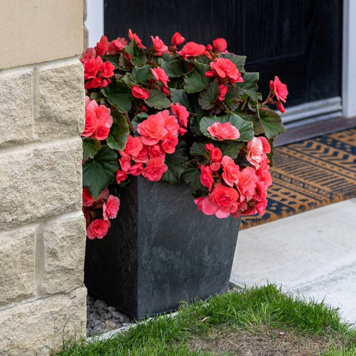 Sonata Planter 33cm Slate