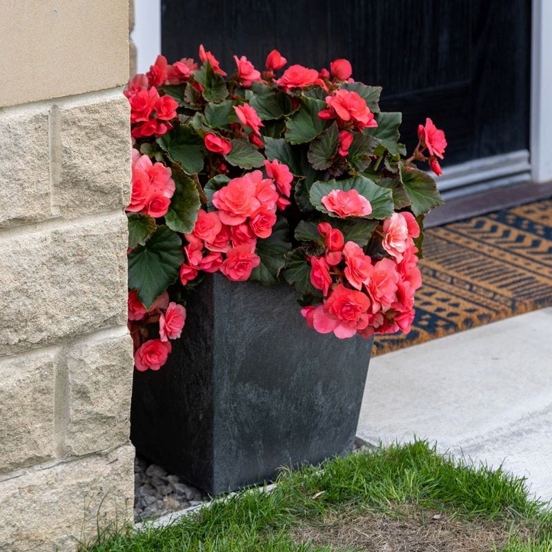 Sonata Planter 33cm Slate Twin Pack