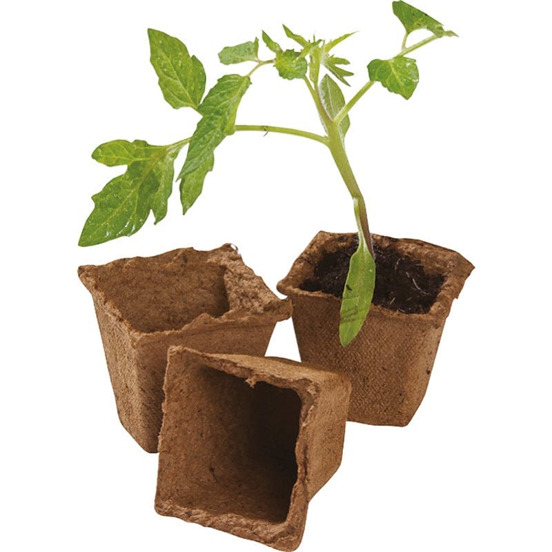 Square Fibre Pots