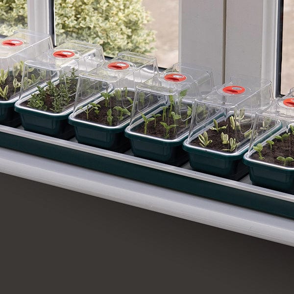 Super 7 Non-Electric Windowsill Propagator