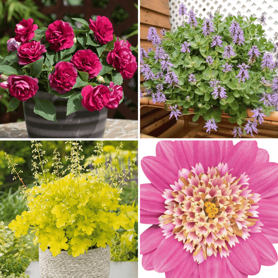 Textured Flower Garden Collection