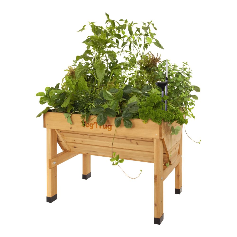 VegTrug Classic