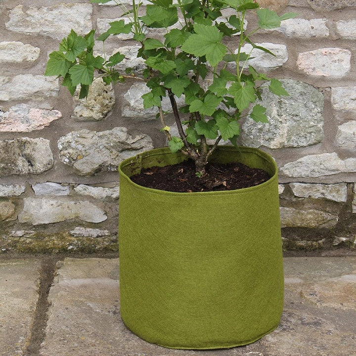 Vigoroot™ Pots 20ltr