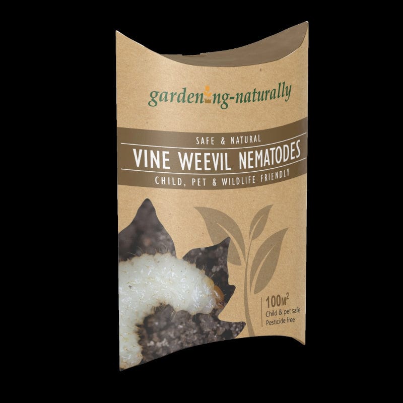 Vine Weevil Control Nematodes 100sq.m