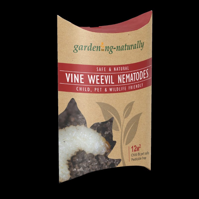 Vine Weevil Control Nematodes 12sq.m