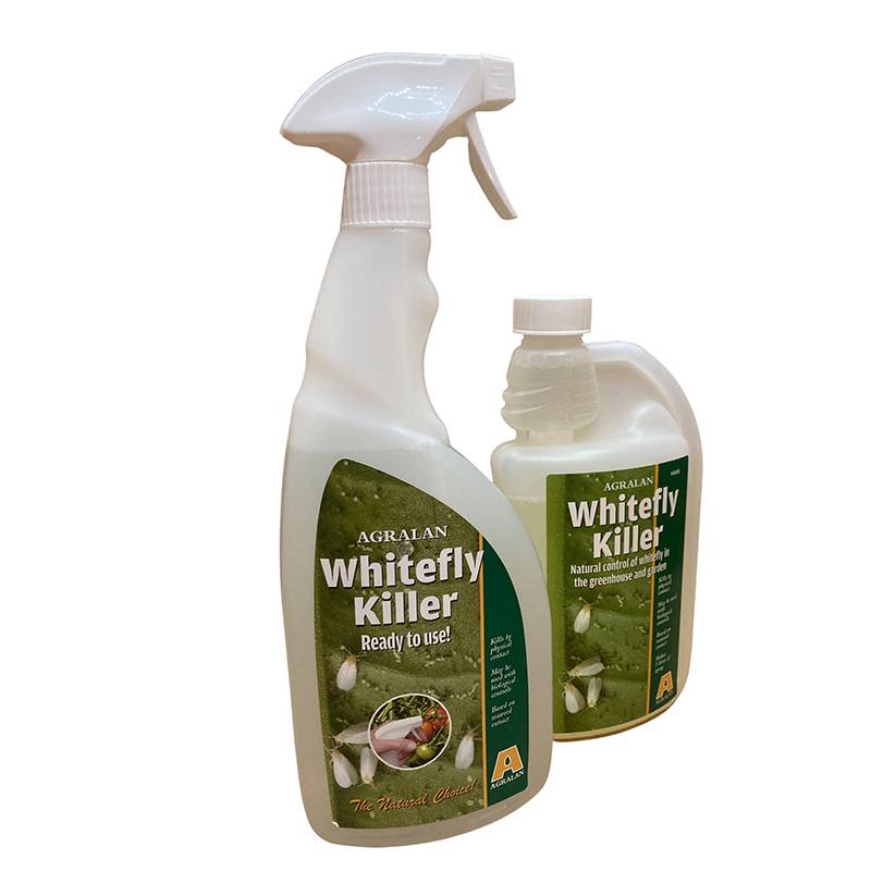 White Insect Spray Whitefly Killer Spray | Johnsons