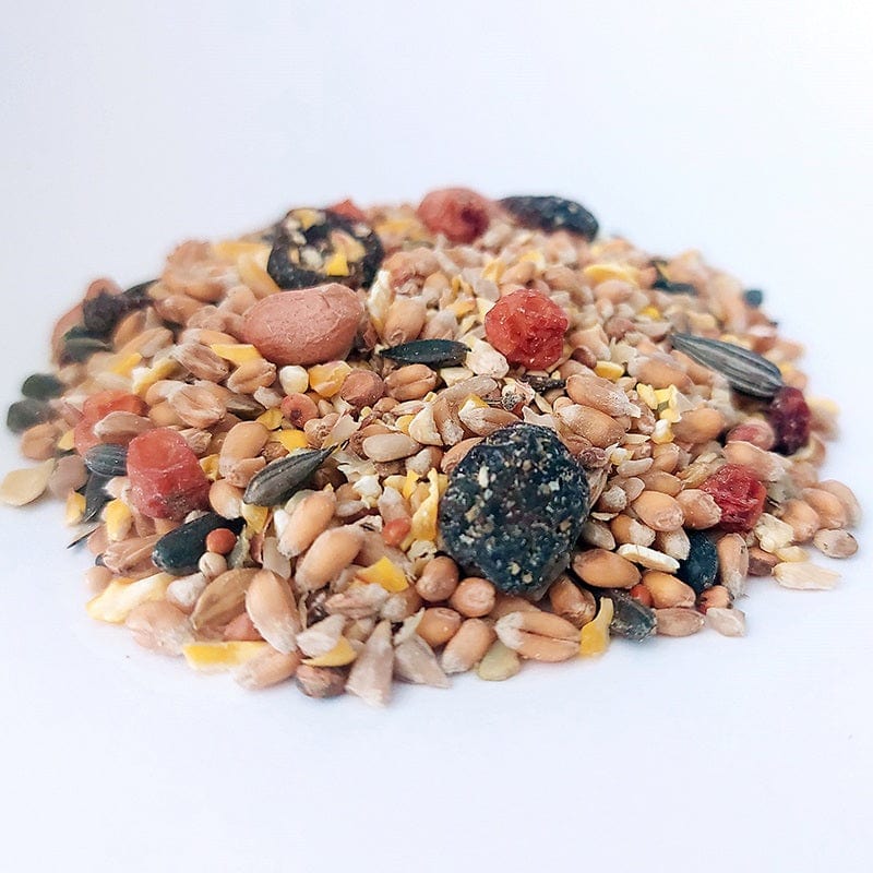 Wild Bird Food Berry Feast Mix 12.75kg